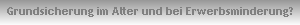 Grundsicherung im Alter und bei Erwerbsminderung?