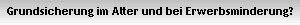 Grundsicherung im Alter und bei Erwerbsminderung?